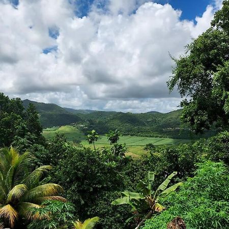 Appartement T2 Le Vallon Au Marin Martinique Le Marin Ngoại thất bức ảnh