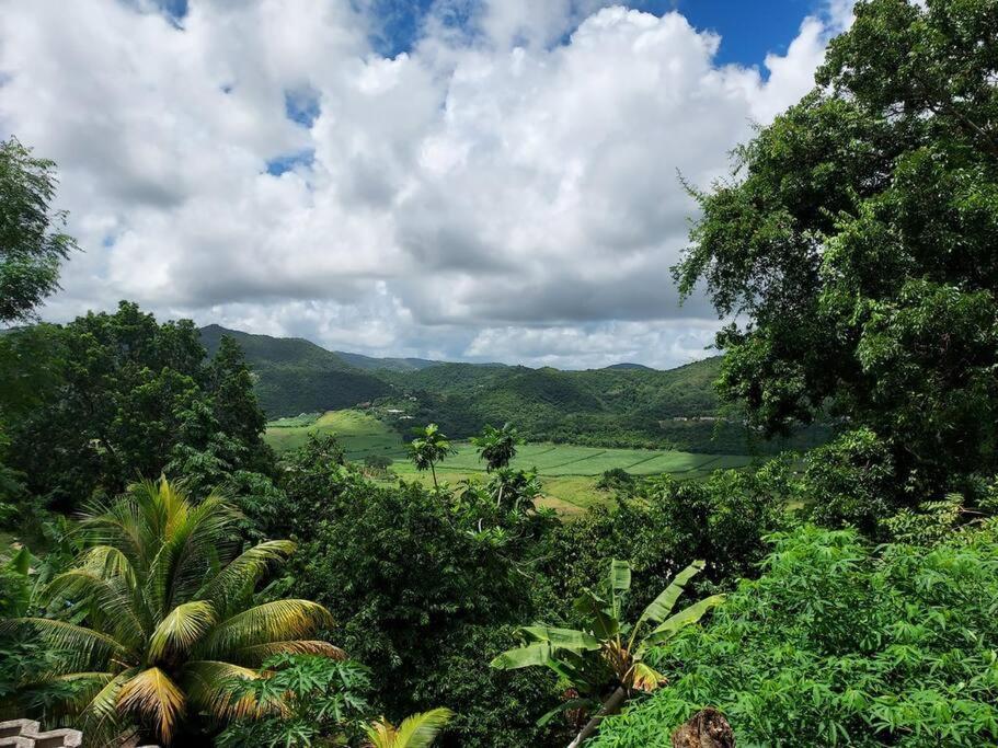 Appartement T2 Le Vallon Au Marin Martinique Le Marin Ngoại thất bức ảnh